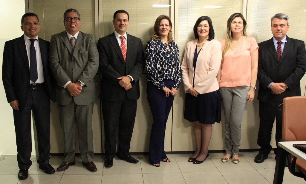 Da esq. para a dir.: Luiz Genédio Mendes Jorge, Renato Pontes Dias, Leonardo Silveira do Nascimento, Verônica Souto Maior, Gildenora Milhomem, Rosilene Oliveira de Souza e José Alexandre Magrini Pigatto