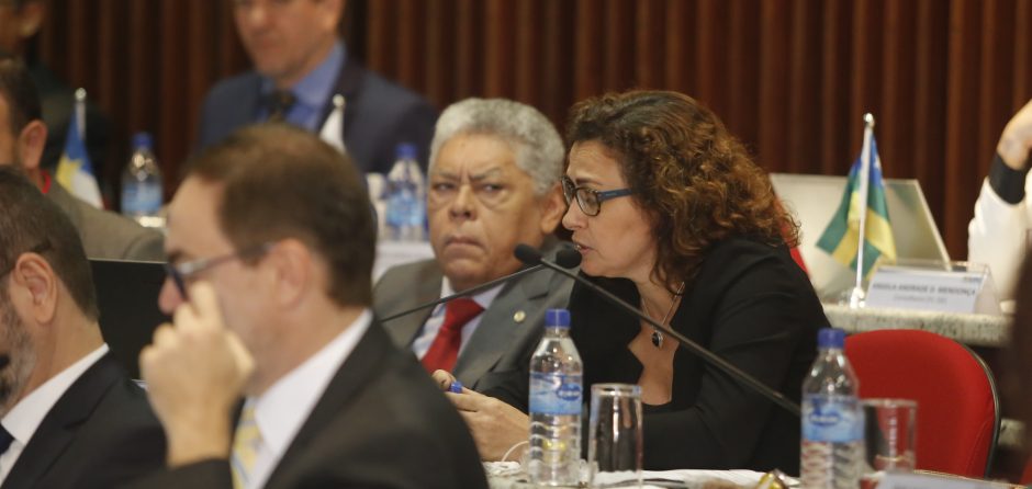 1045ª Reunião Plenária